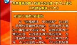 最新蓬莱爆料新闻报道,揭秘神秘事件背后的真相